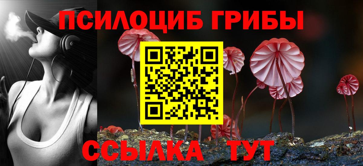 Кунгур  Псилоцибиновые грибы MAGIC MUSHROOMS  Вход с VPN 
